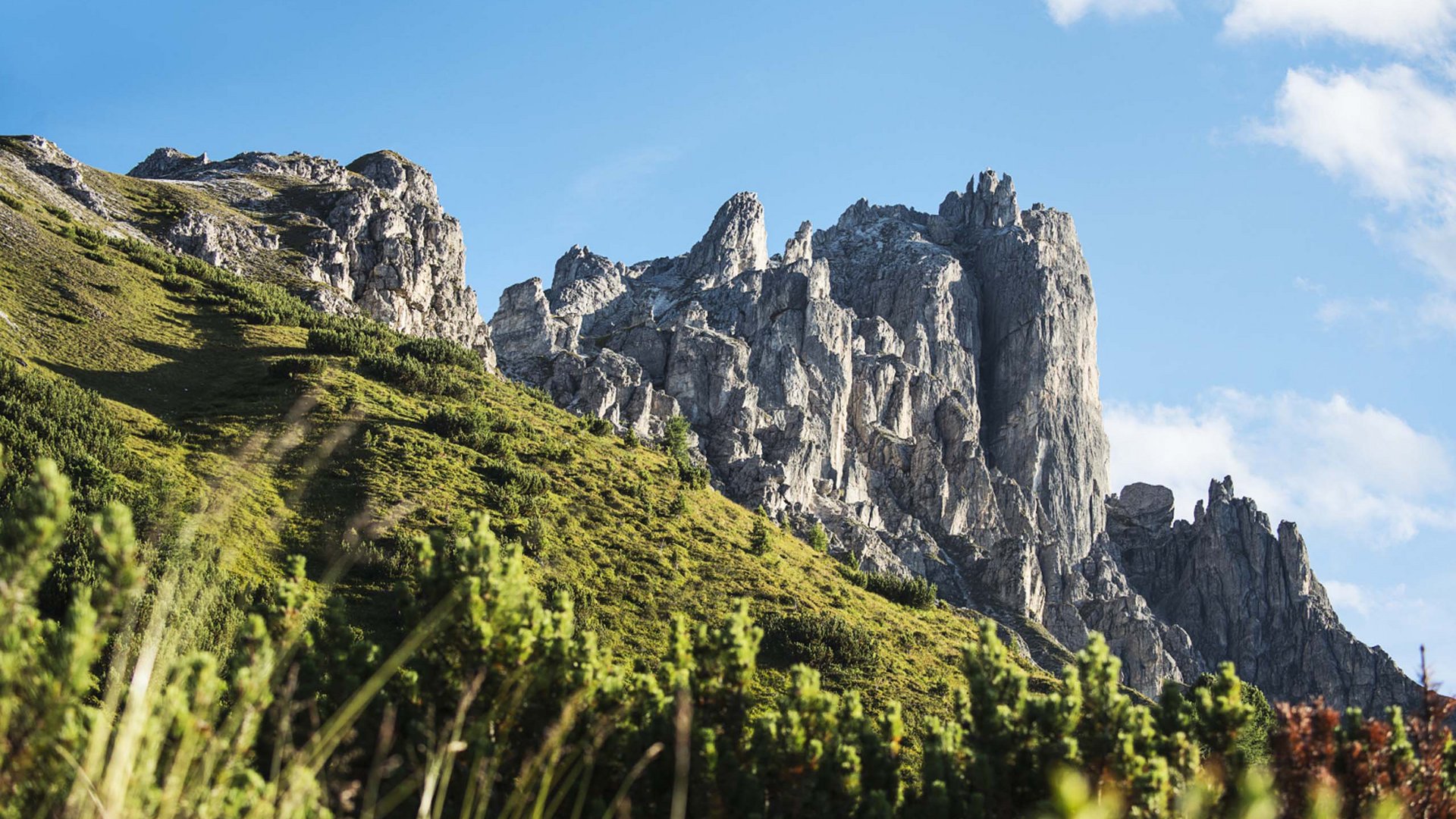 Stubaital: das Hotel mit Pool Grüne Hügel mit spitzen Felsen unter blauem Himmel